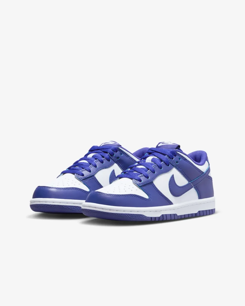 Nike Dunk Low Blue